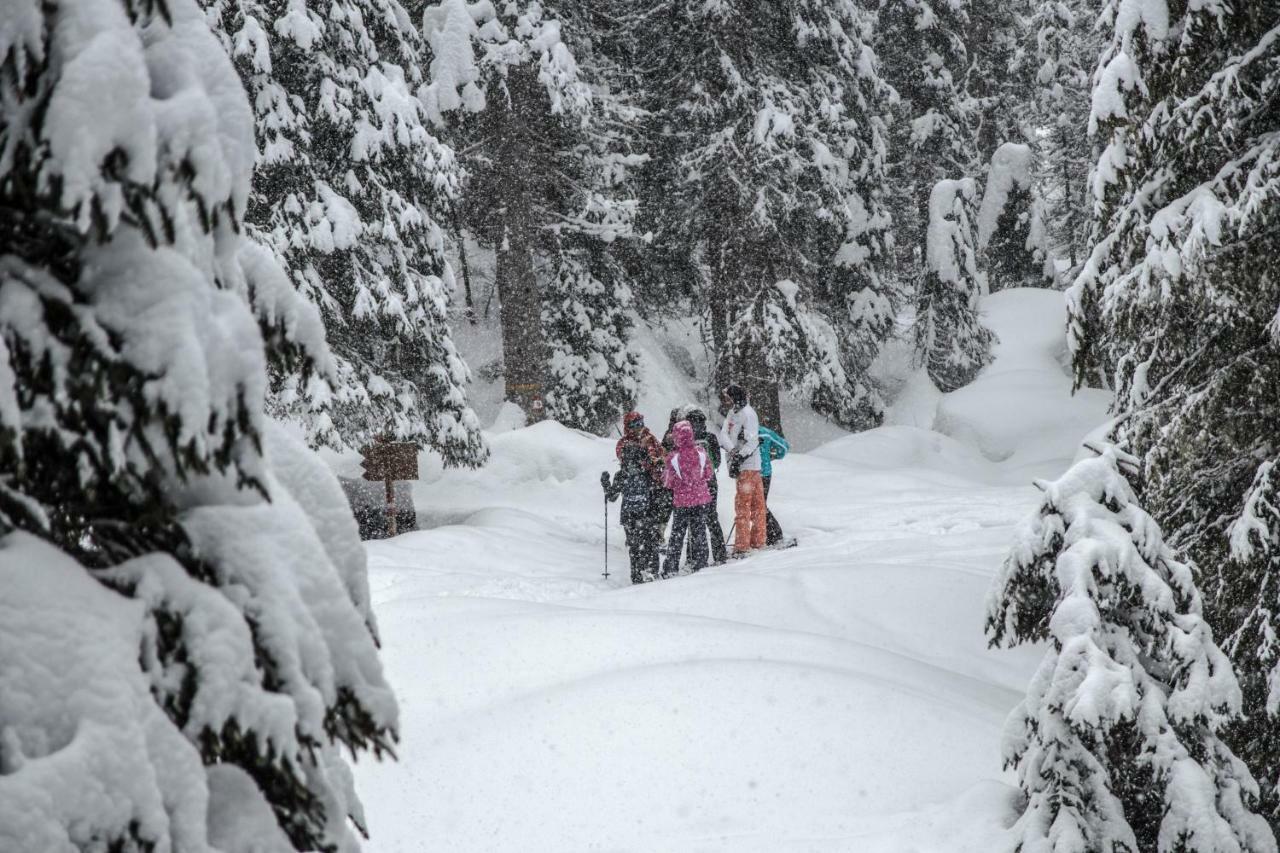 Ai Piedi Della Marmolada Appartement Canazei Buitenkant foto