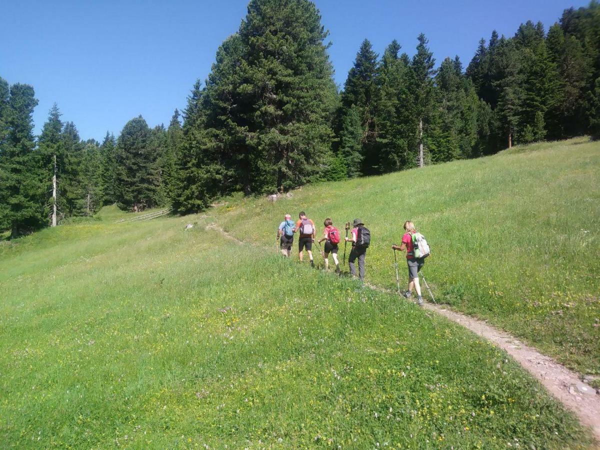 Ai Piedi Della Marmolada Appartement Canazei Buitenkant foto